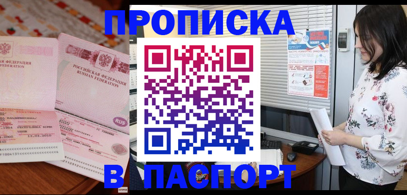 прописка гарантия в Зеленогорске